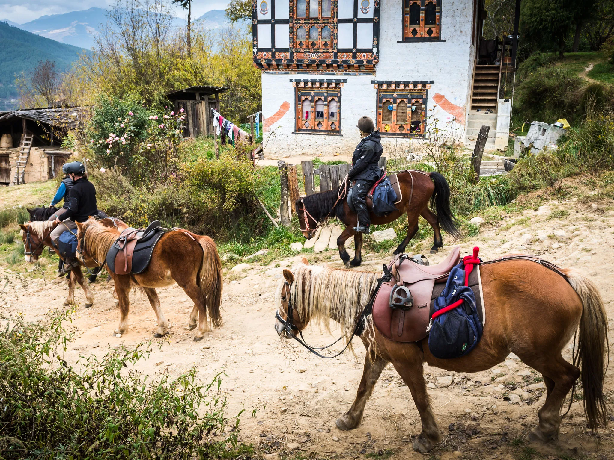 Bhutan Jomolhari Trek